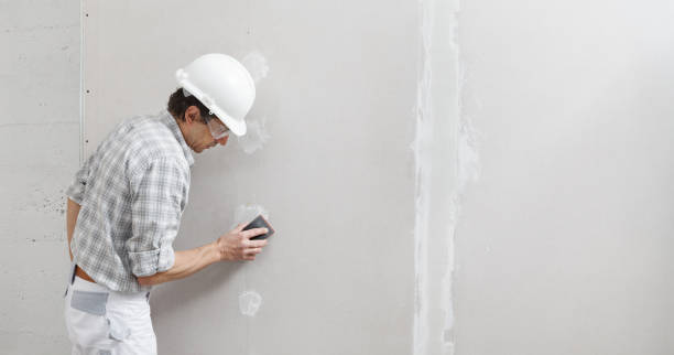 Wallpaper Removal and Painting in Prospect, PA